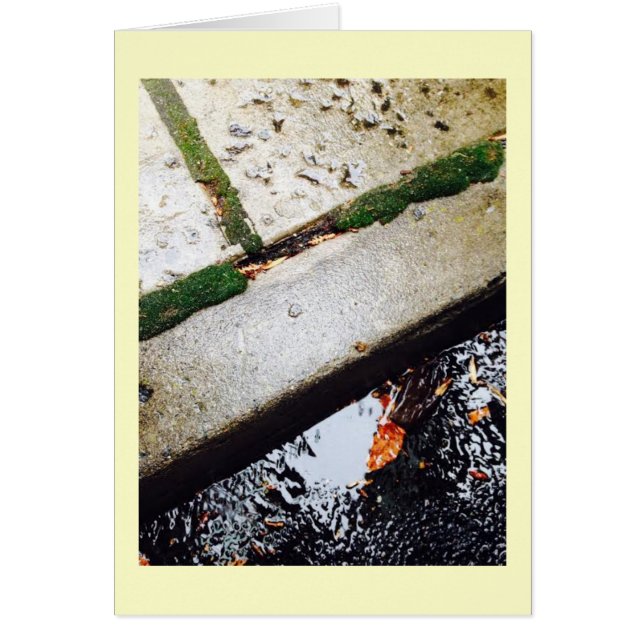 Reflecties (Voorkant)