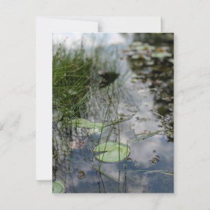 Reflecties aan de waterkant briefkaart
