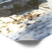 Reflecties in een Natuur van de Puddle Poster (Hoek)