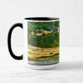 Reflecties in het Adirondack Mountain Stream. - Fo Mok (Links)