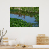 Reflecties in het groen poster (Keuken)