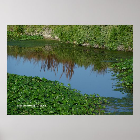 Reflecties in het groen poster (Voorkant)