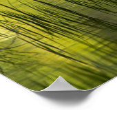 Reflecties in het Mirror Lake | Josemiet Poster (Hoek)