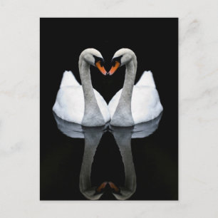 Reflecties of Love, Heart Shape, White Swans Briefkaart
