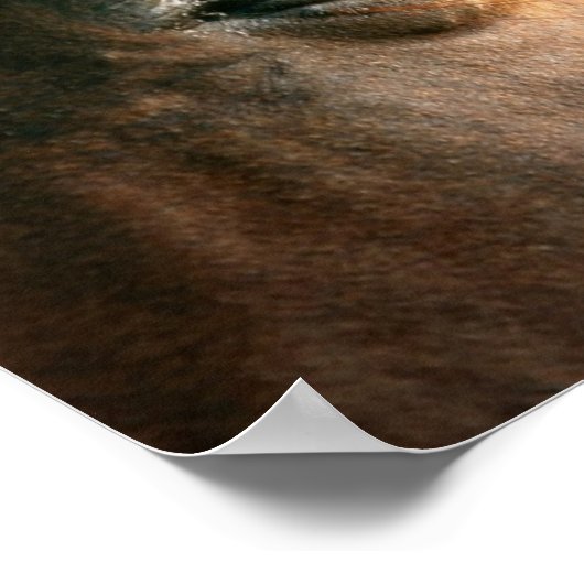 Reflecties Poster (Hoek)