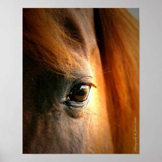 Reflecties Poster (Voorkant)