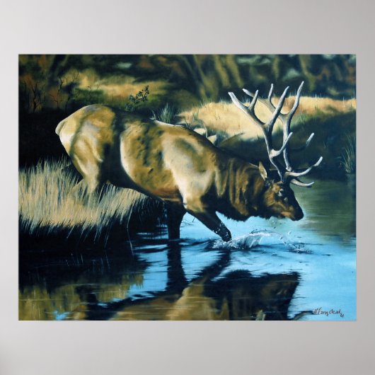 Reflecties Poster (Voorkant)