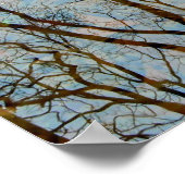 Reflecties Poster (Hoek)