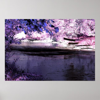 Reflecties Poster