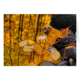 Reflecties van de herfst Gold