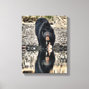 Reflecties van de zwarte beer canvas afdruk