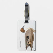 Reflecties van een noordelijke Pintail Duck Bagagelabel (Achterkant verticaal)