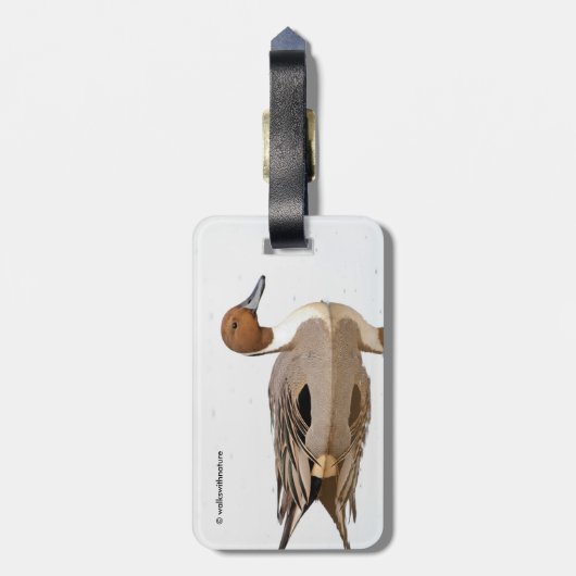 Reflecties van een noordelijke Pintail Duck Bagagelabel (Achterkant verticaal)