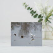 Reflecties van een Snowy Egret op de Beweging Briefkaart (Staand voorkant)