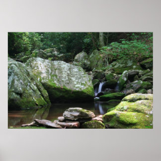 Reflecties van Minerale Creek Poster