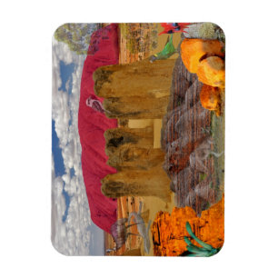 REFLECTIES VAN OZ Australian Outback Magneet