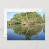 Reflectiestructuur Briefkaart (Voorkant / Achterkant)