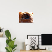 Reflection in Horse's Eye Poster (Bureau à domicile)