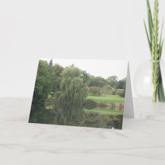 Reflections-Weeping Willow - Blank Kaart (Voorkant)