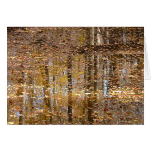 Reflet dans Still Creek à Greenbelt Park