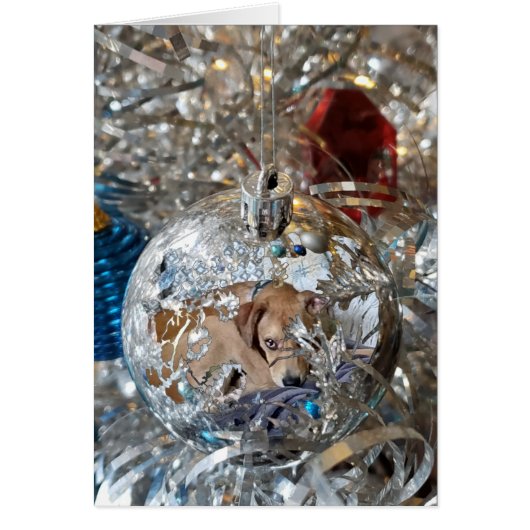 Reflet de l'ampoule en argent (Devant)