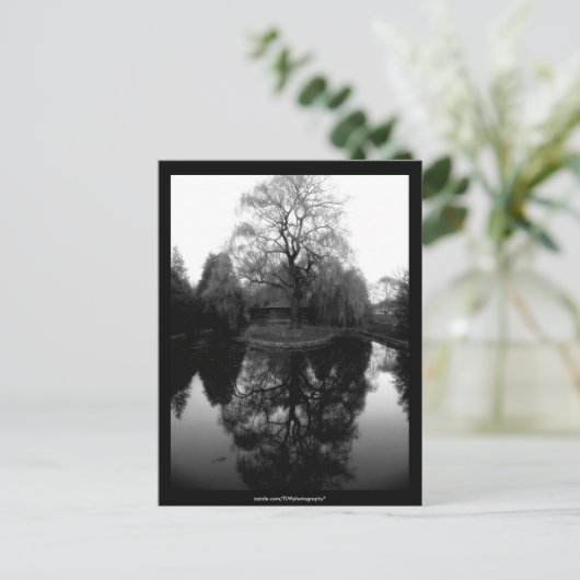 Reflet Willow noir&blanc - Carte postale (Debout devant)