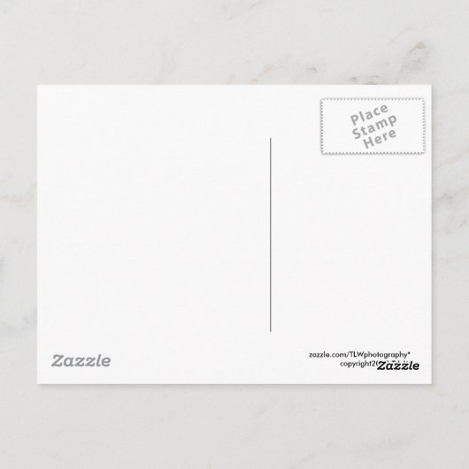 Reflet Willow noir&blanc - Carte postale (Dos)