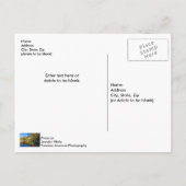 Reflets d'automne Carte postale de Buffalo Nationa (Dos)