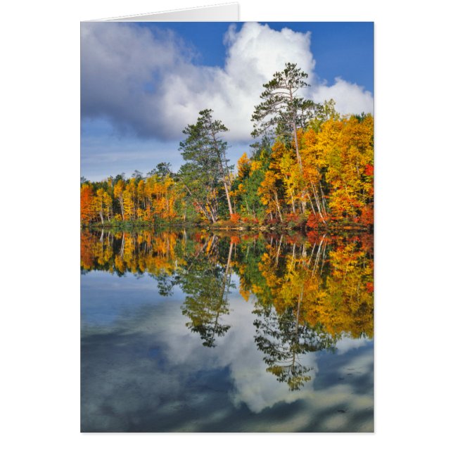 Reflets d'étang en automne, Maine (Devant)