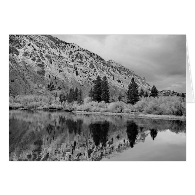 Réflexion (Devant Horizontal)