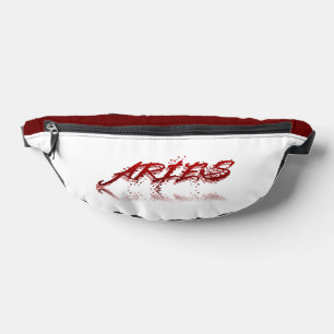Réflexion de Aries