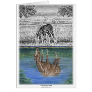 Réflexion de l'eau de poulain de cheval