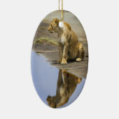 Réflexion d'un ornement de lionne (Droite)