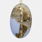 Réflexion d'un ornement de lionne (Gauche)