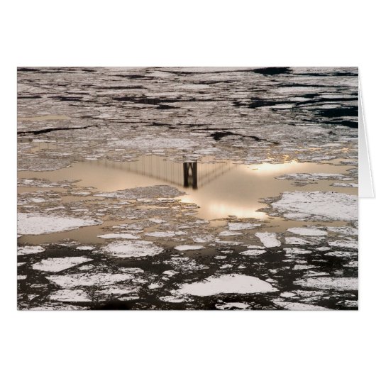 Réflexion En Or (Devant horizontal)