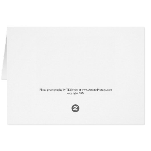 Réflexion rose Calla Lily (Dos Horizontal)