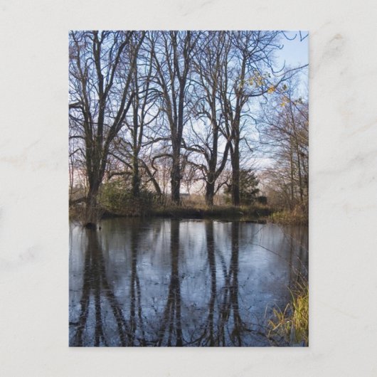 Réflexions Carte postale #1 (Devant)