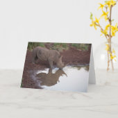 Réflexions : Carte postale de rhinocéros (Fleur jaune)