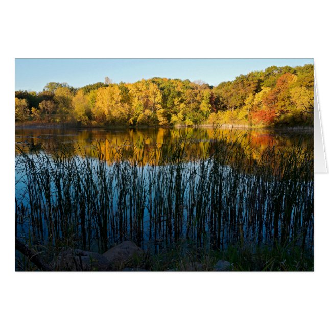 Réflexions d'automne du parc Marthaler (Devant Horizontal)