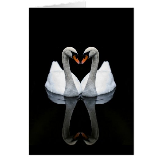 Réflexions de l'amour, forme de coeur, cygnes (Devant)