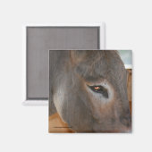 Réflexions de l'âne Agritourisme animal aimant nat (Recto/Verso)