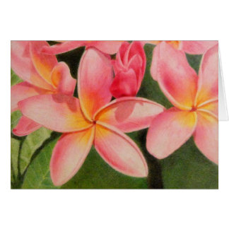 Réflexions de Plumeria