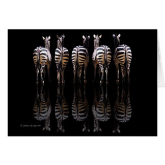 Réflexions de Zebra