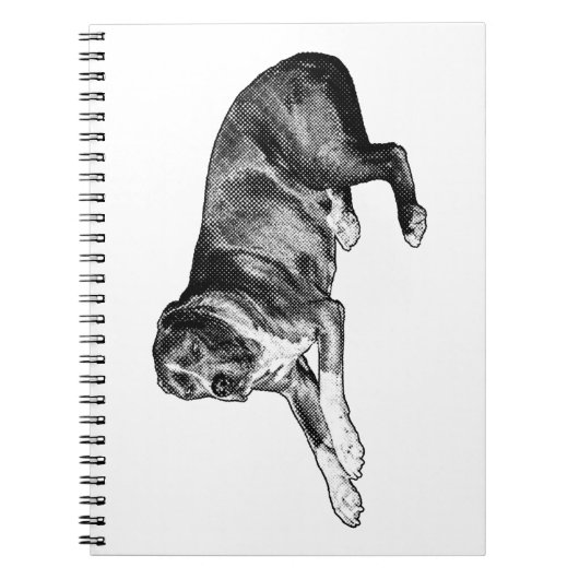 Réflexions pointillées - Carnet de chien demi-ton (Devant)