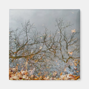 Réflexions sur le Magnet d'automne