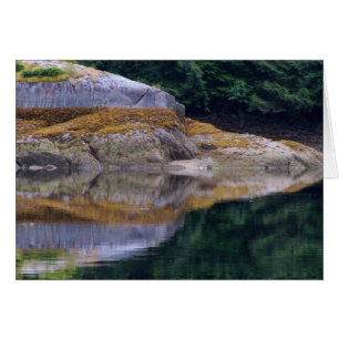 Réflexions sur le rivage #7