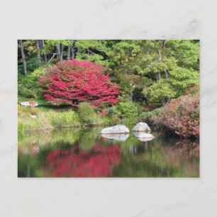 Réflexions sur une carte postale Azalia Garden