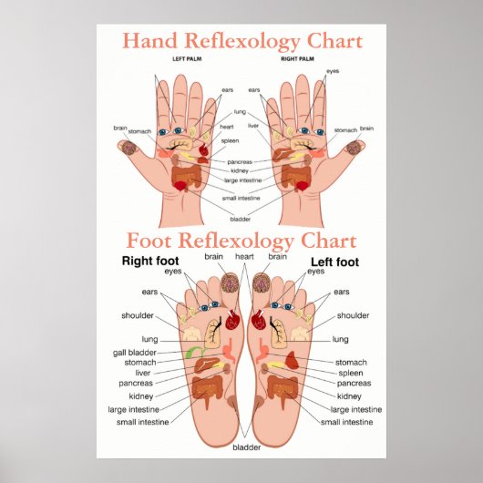 Reflexology Chart 20X30" Poster (Voorkant)