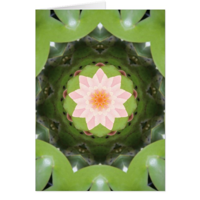 Réfraction Lotus rose (Devant)