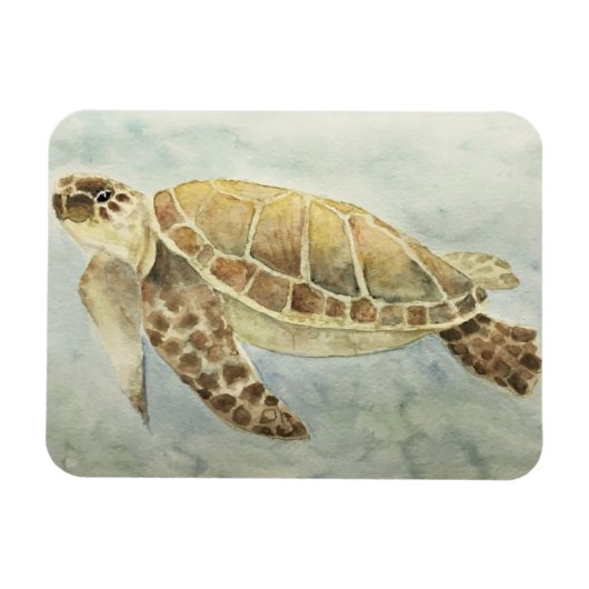 Refriator Magnet Zee Turtle #1 Magneet (Horizontaal)